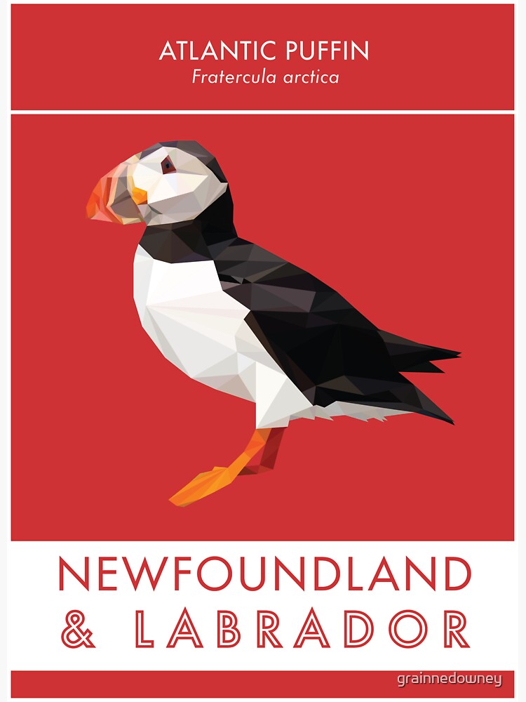 Newfoundland and Labrador - Atlantic Puffin by grainnedowney