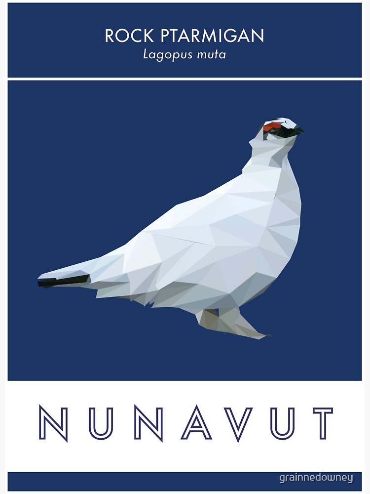 Nunavut - Rock Ptarmigan by grainnedowney