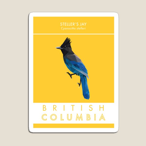 British Columbia - Stellar's Jay Magnet