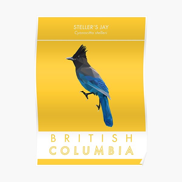 British Columbia - Stellar's Jay Poster