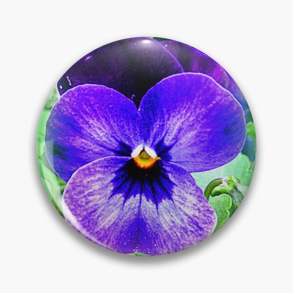 Artikelvorschau, Violette Stiefmütterchen entworfen und verkauft von angel1.