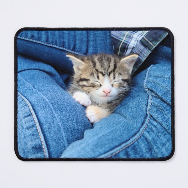 Item preview, Kitten Cat Nap in the Warm Summer Sunshine designed and sold by The Tinker Man's Daughter.