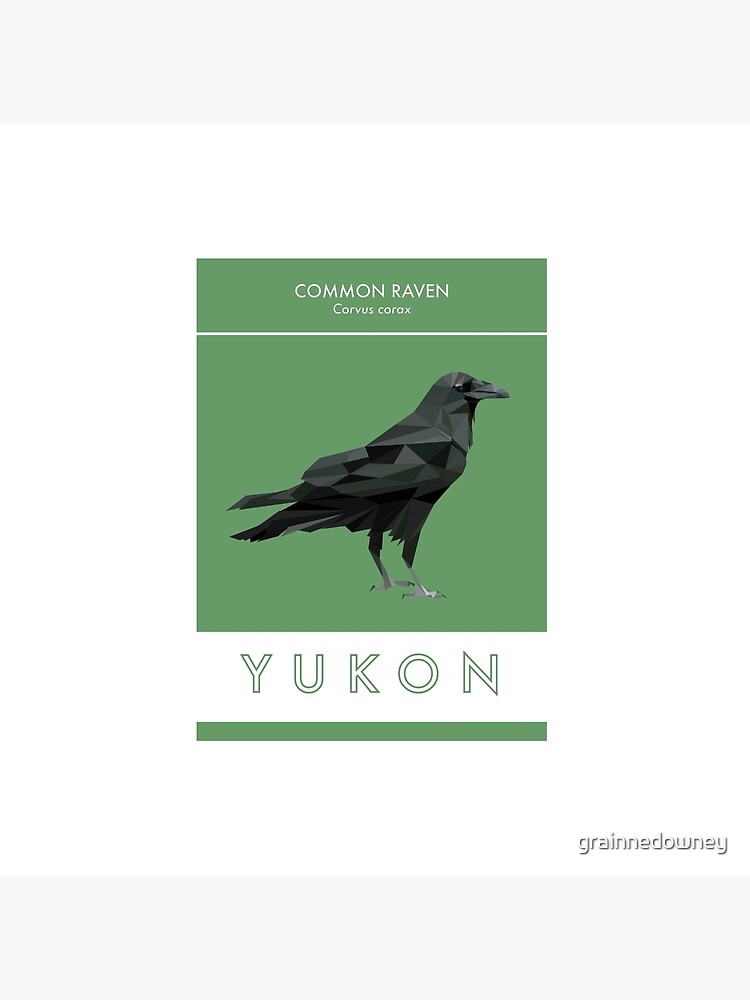 Yukon - Common Raven by grainnedowney