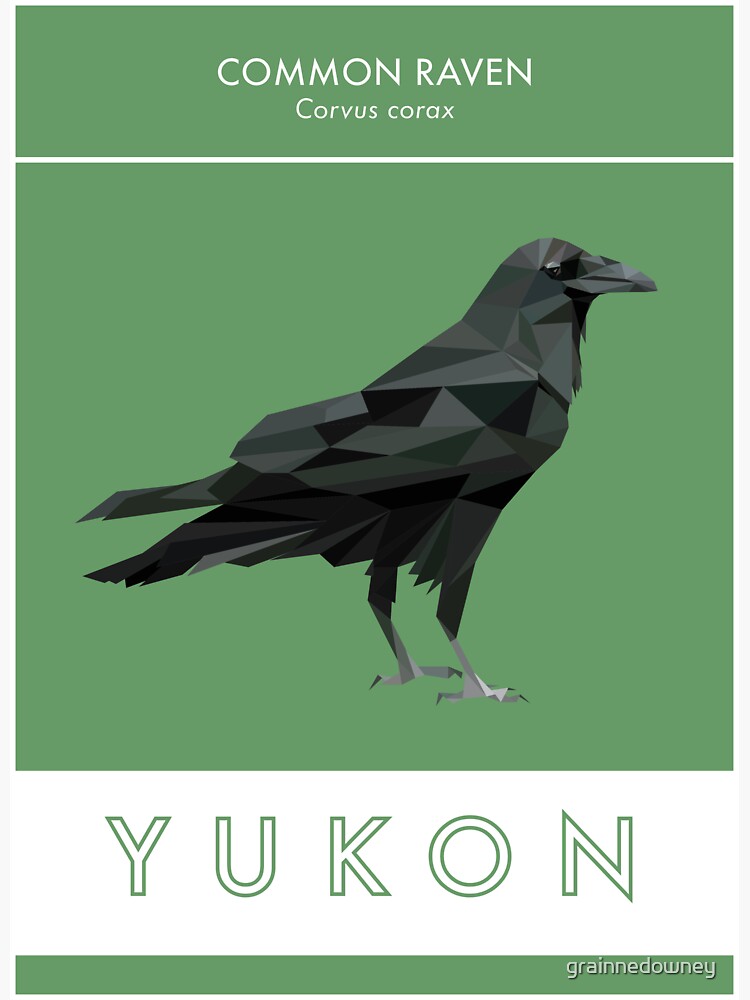 Yukon - Common Raven by grainnedowney