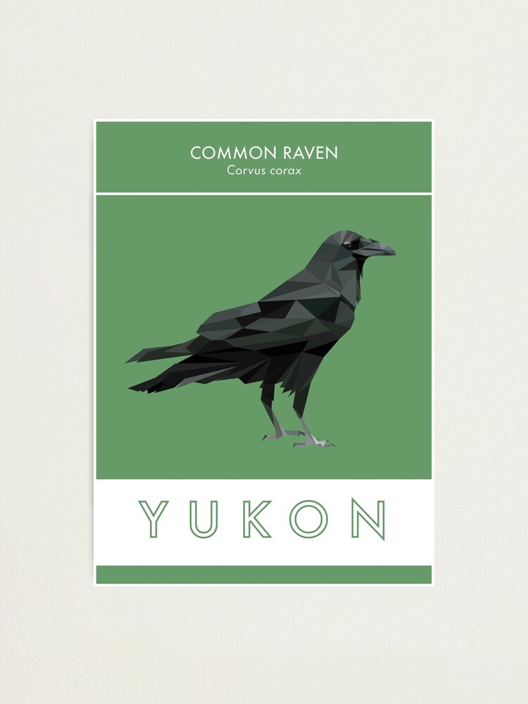 Alternate view of Yukon - Common Raven Photographic Print