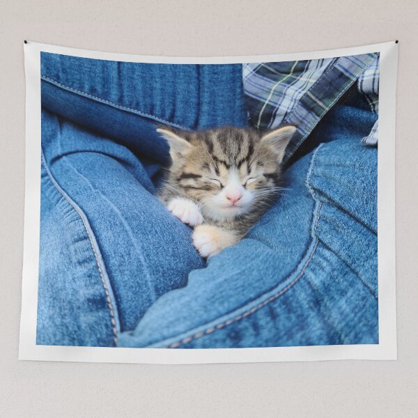 Item preview, Kitten Cat Nap in the Warm Summer Sunshine designed and sold by The Tinker Man's Daughter.
