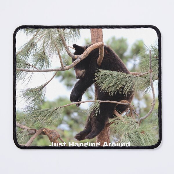 Item preview, Bear Cub Hanging Around In A Tree designed and sold by UpwardsBound.