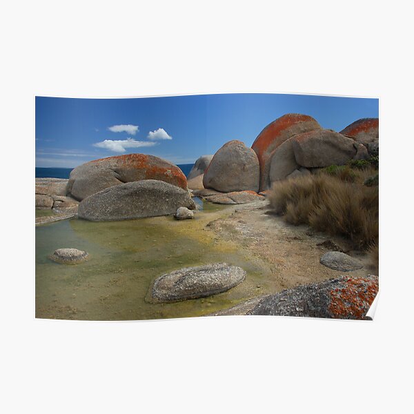 Rock Pool Poster