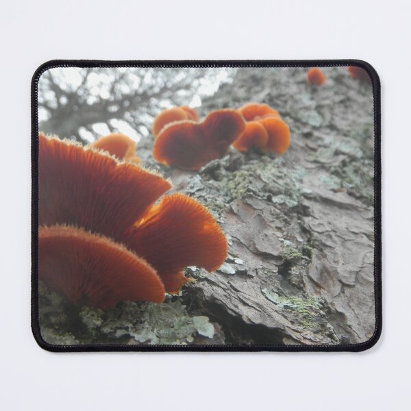 Item preview, Fungi Friends designed and sold by BethyBeeHerbs.