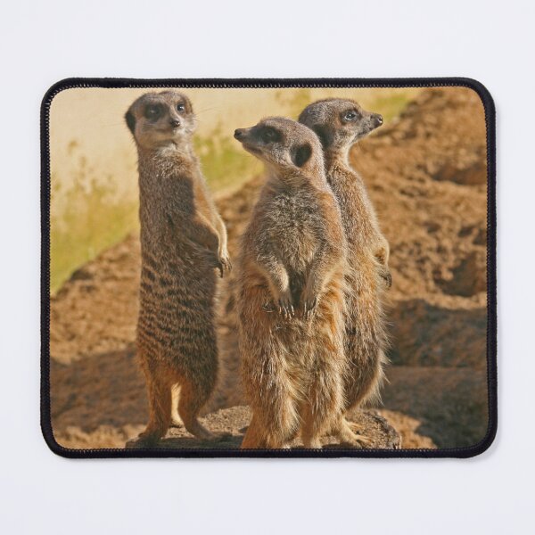 Item preview, Compare the Meerkats designed and sold by RedHillDigital.