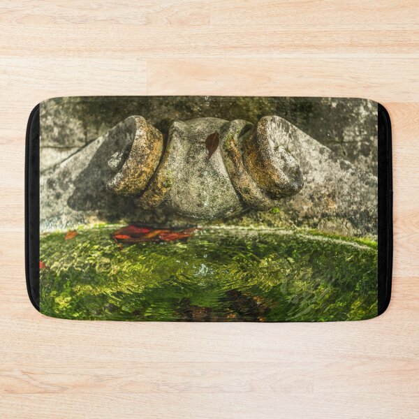 Item preview, Medieval stone sink with fresh clean water in an old autumn garden in Ireland designed and sold by AlbertMi.