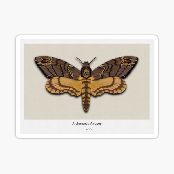 Archerontia Atropos Modern Sticker