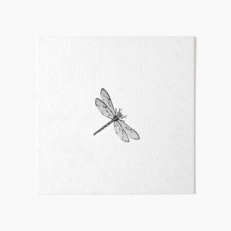 Pin by Molly GroganGreer on TATS  Small dragonfly tattoo Small tattoos  Trendy tattoos