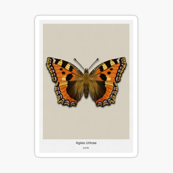 Aglais Urticae Modern Vertical Sticker