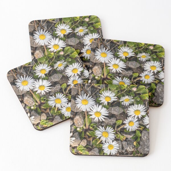 Item preview, Beautiful daisies growing at the forest floor designed and sold by AlbertMi.