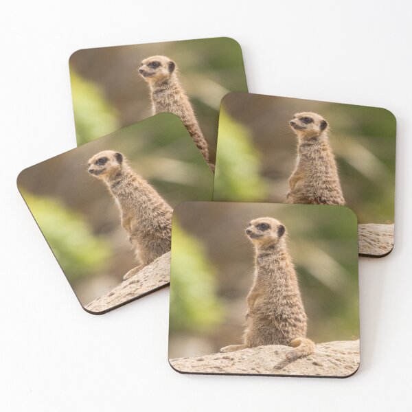 Item preview, Meerkat Having a Good Look Round designed and sold by LFPPhotography.