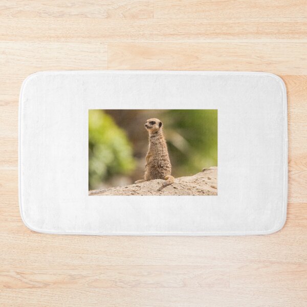 Item preview, Meerkat Having a Good Look Round designed and sold by LFPPhotography.