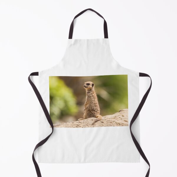 Item preview, Meerkat Having a Good Look Round designed and sold by LFPPhotography.