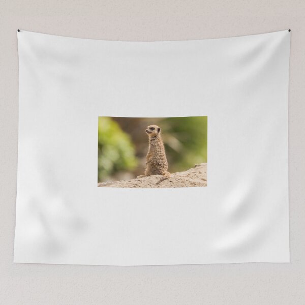 Item preview, Meerkat Having a Good Look Round designed and sold by LFPPhotography.