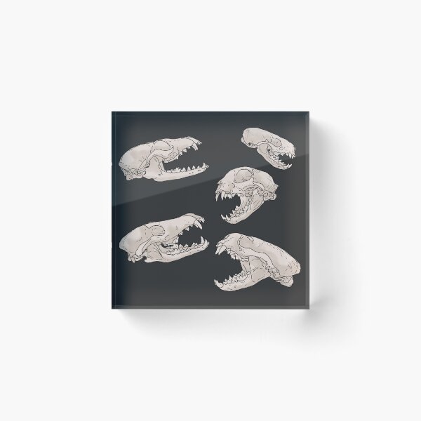Item preview, North American Predator Skulls Black designed and sold by Ashley Gagnon.
