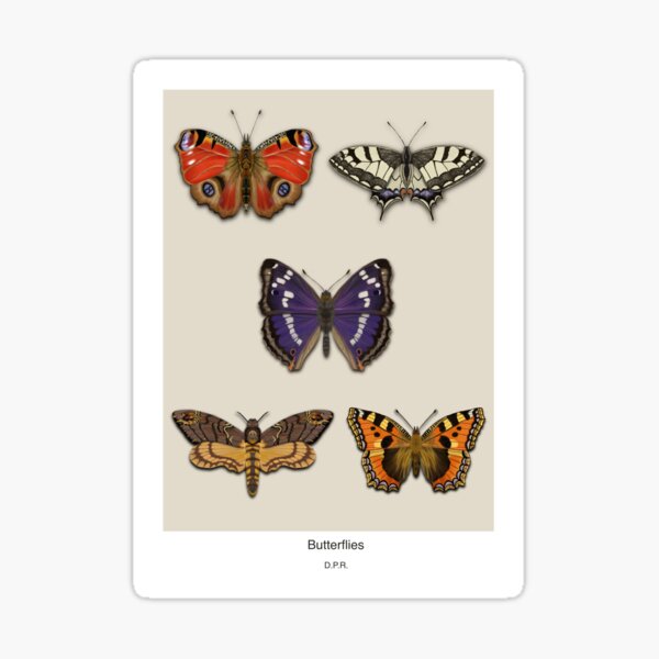 Butterflies Modern Sticker