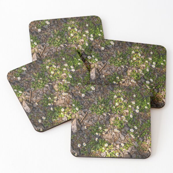 Item preview, Beautiful daisies growing at the forest floor designed and sold by AlbertMi.