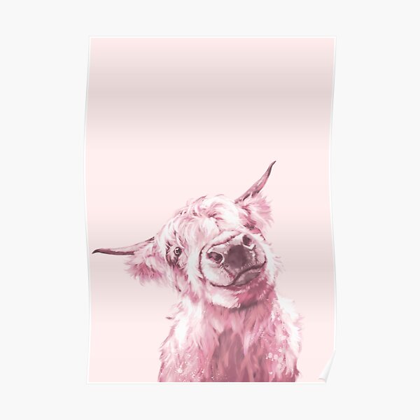 Highland Cow in Pink Poster