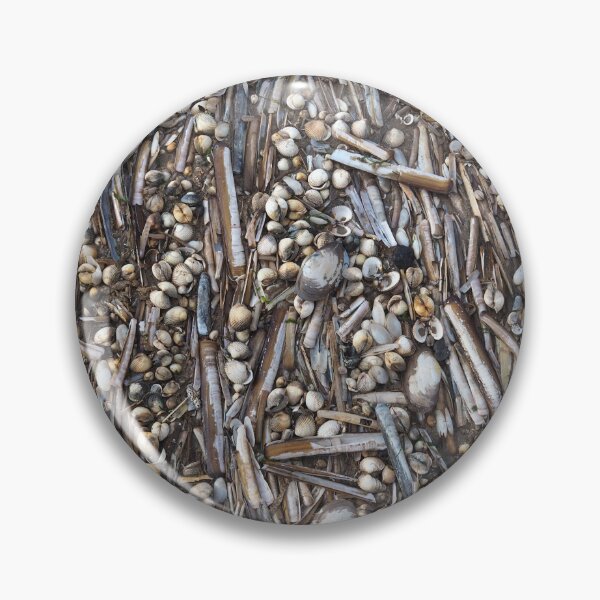 Item preview, Shells designed and sold by Anna Fairley Nielsson.