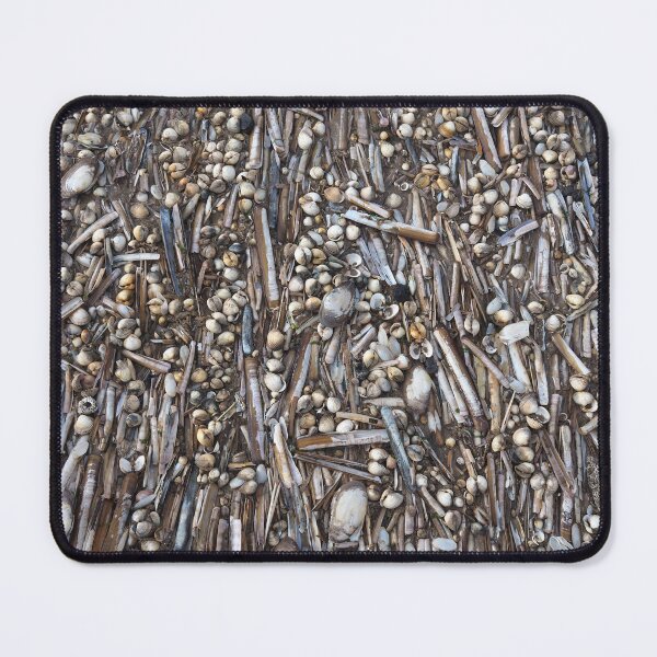 Item preview, Shells designed and sold by Anna Fairley Nielsson.