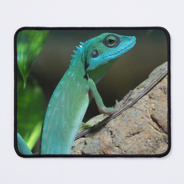 Item preview, Green Crested Lizard designed and sold by Anna Fairley Nielsson.