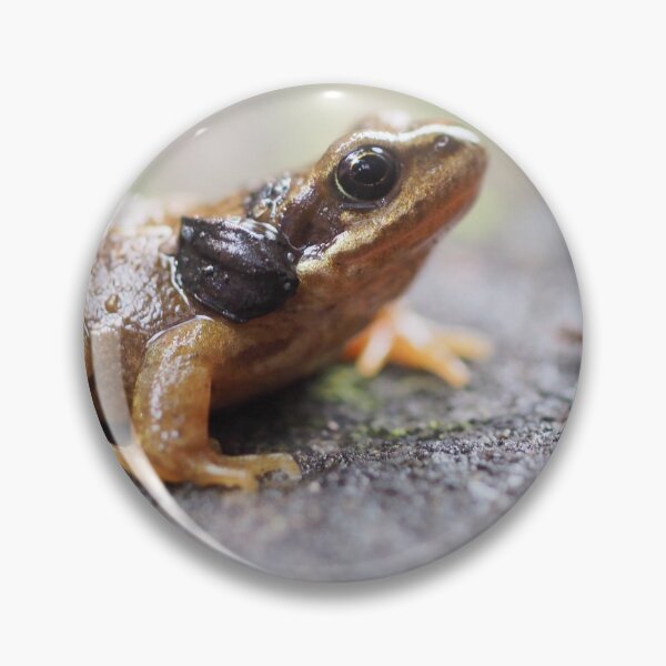 Item preview, Froglet designed and sold by Anna Fairley Nielsson.