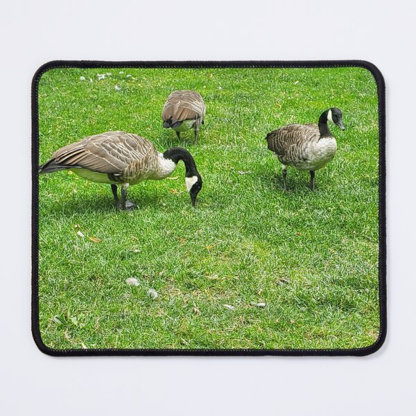 Item preview, Boston Geese  designed and sold by etherealwonders.