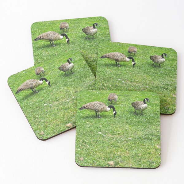 Item preview, Boston Geese  designed and sold by etherealwonders.