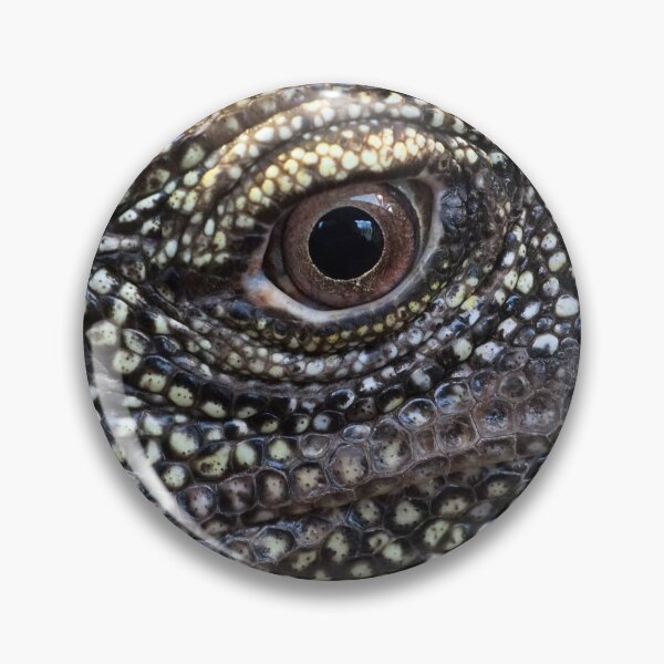 Item preview, Salvadori's Monitor designed and sold by Anna Fairley Nielsson.