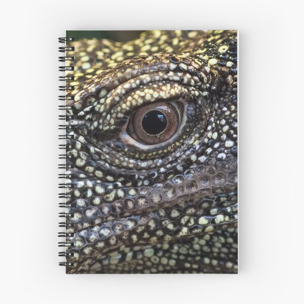Item preview, Salvadori's Monitor designed and sold by Anna Fairley Nielsson.