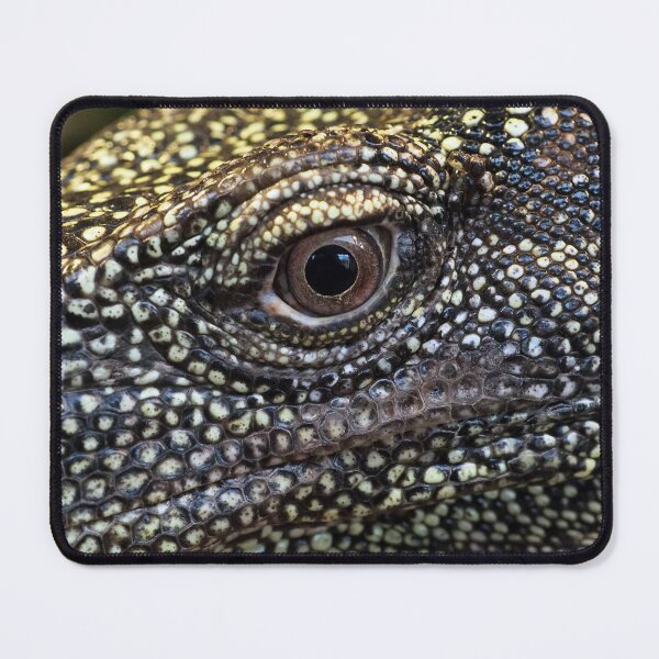Item preview, Salvadori's Monitor designed and sold by Anna Fairley Nielsson.
