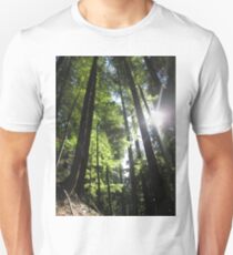 Sonnenbeschienene Tannenbäume Unisex T-Shirt