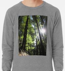 Sonnenbeschienene Tannenbäume Leichtes Sweatshirt