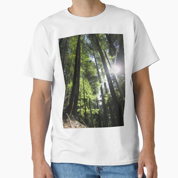 Item preview, Sunlit Fir Trees designed and sold by Caye Harrison.