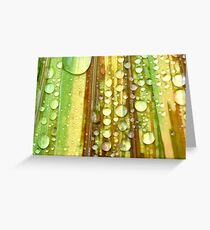 Shower Curtain Greeting Card