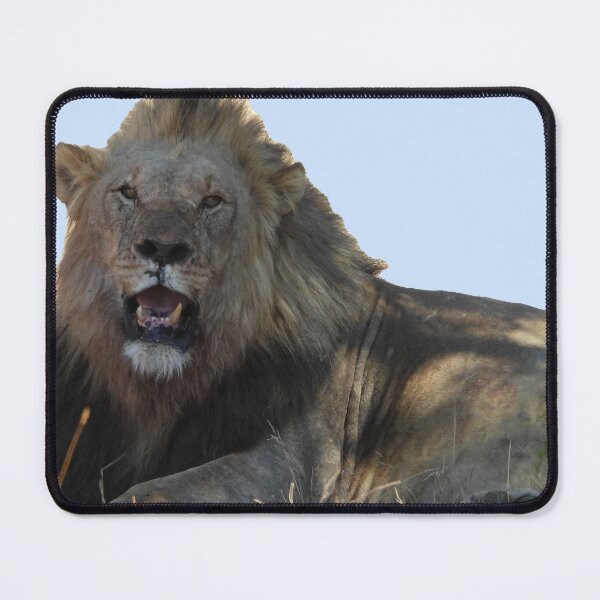 Item preview, Lion - King of the Jungle designed and sold by DrAgonPhotos.