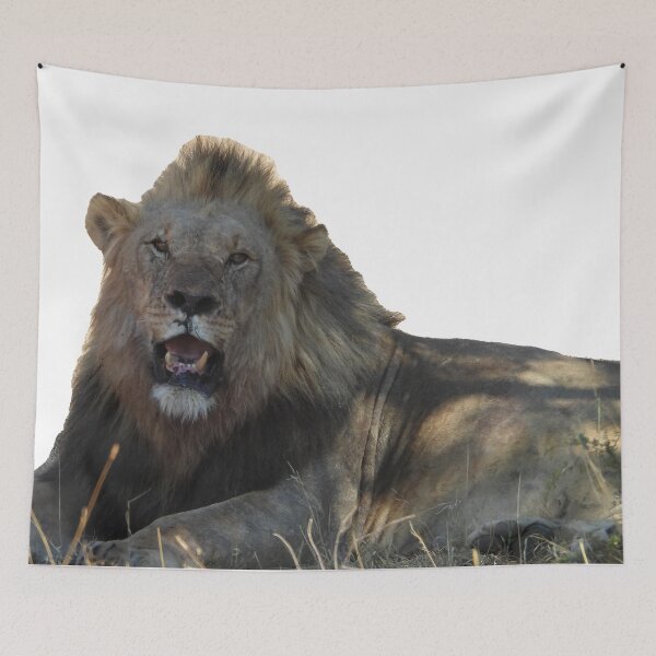 Item preview, Lion - King of the Jungle designed and sold by DrAgonPhotos.