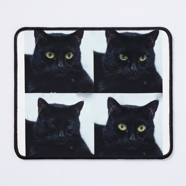 Artikelvorschau, Schwarze Katze entworfen und verkauft von fan liang.
