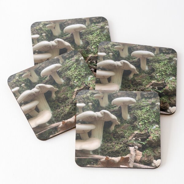 Item preview, Oyster Mushroom designed and sold by Kin9Me.