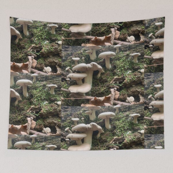 Item preview, Oyster Mushroom designed and sold by Kin9Me.