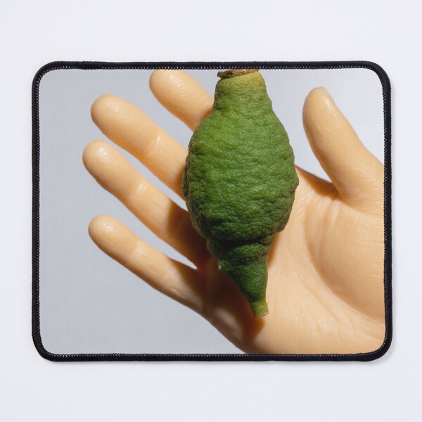 Item preview, Macro Hand Holding Small Underdeveloped Lemon designed and sold by paulmorrishill.