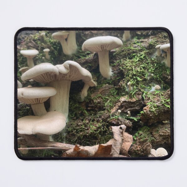 Item preview, Oyster Mushroom designed and sold by Kin9Me.