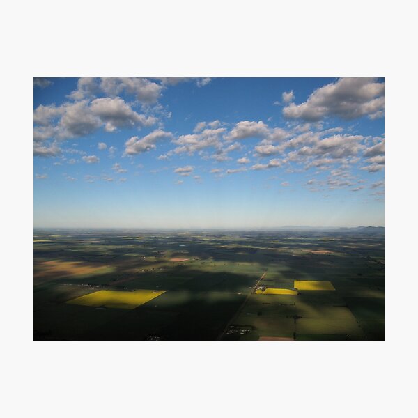 Item preview, Sunlight on Canola designed and sold by victor.