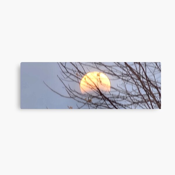 Lunar Eclipse Metal Print