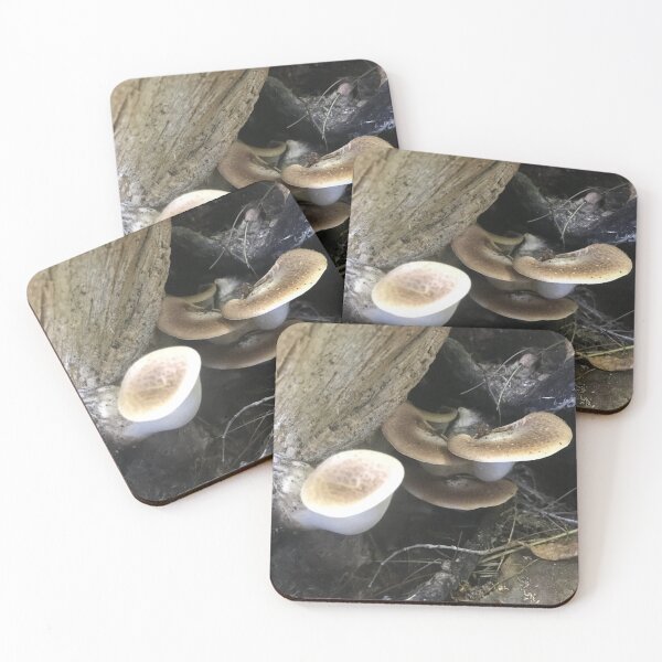 Item preview, A Saddle Back Pheasant View designed and sold by Kin9Me.